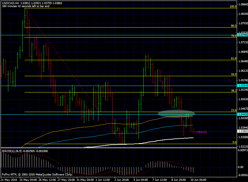 Forex trade follow
