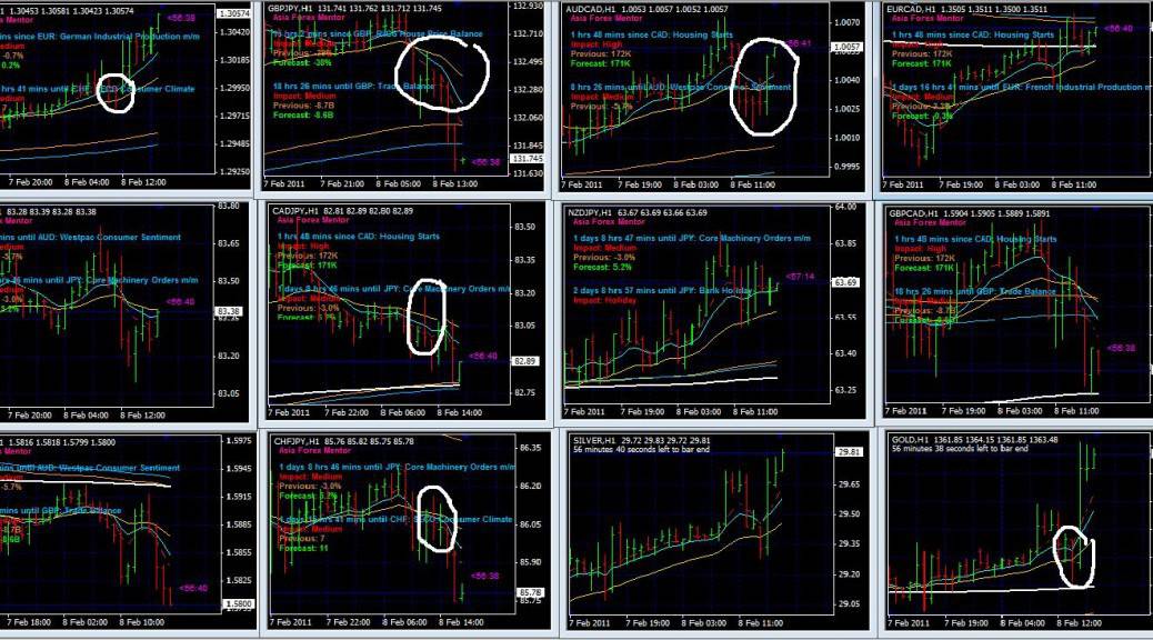 Asia forex mentor course review