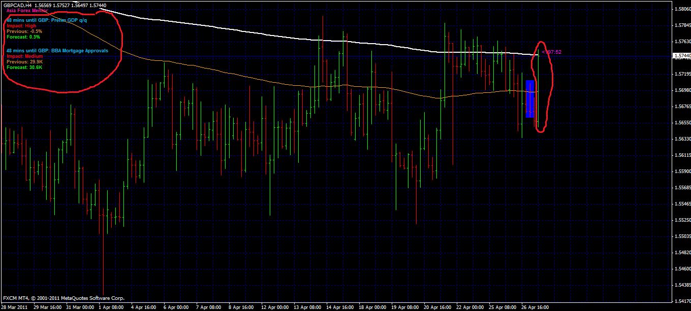 Why you should not trade forex