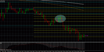 Fibonacci with Price Action 21/05