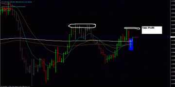 Lessons from a Live Forex Trade