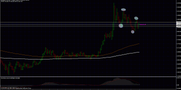 Private Group Forex Trading Market Analysis
