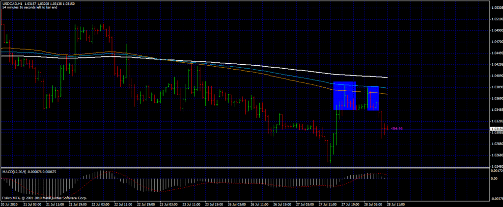 usdcadpin1