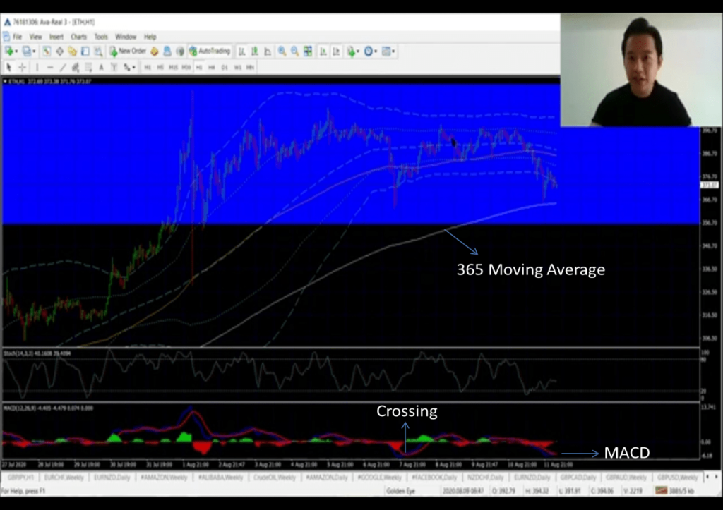 how to read the charts in forex trading like a pro