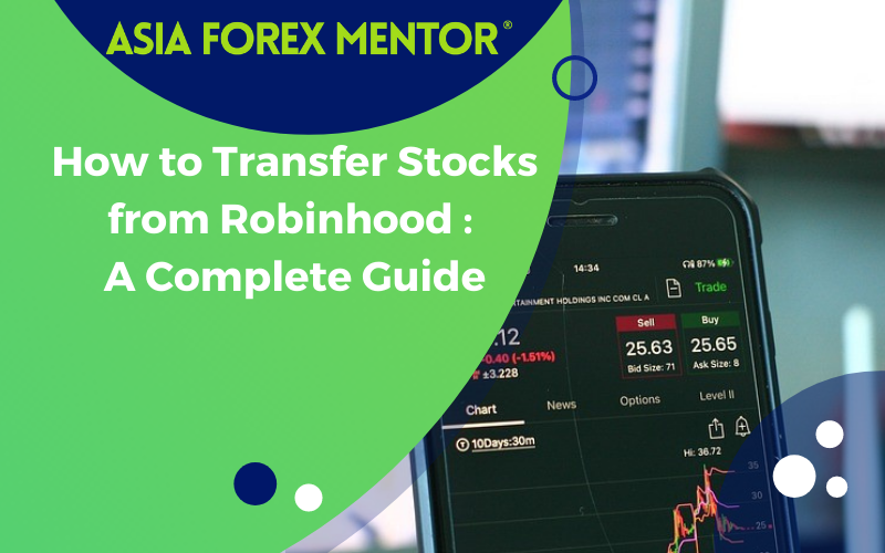 How to Read the Robinhood Stock Details