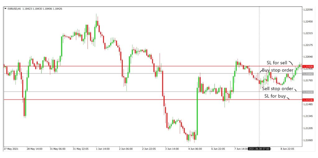 50 pips a day forex strategy expert - philmommy