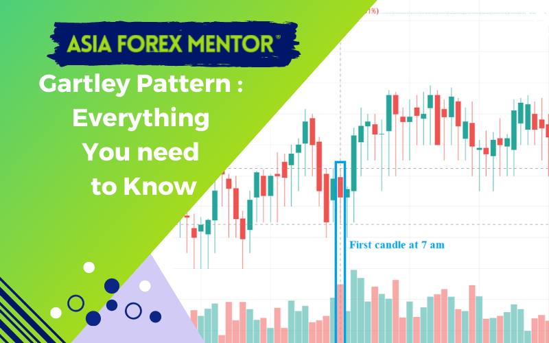 Gartley Pattern Complete Guide