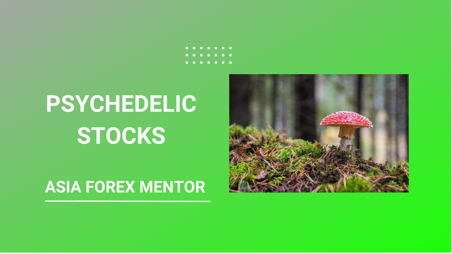 How To Trade A Point And Figure Chart • Asia Forex Mentor