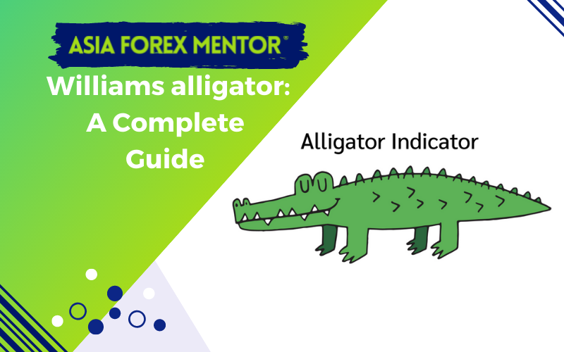 Williams alligator complete guide