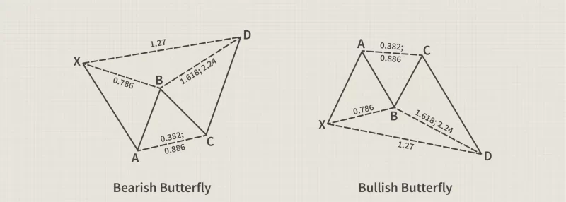 Butterfly Pattern