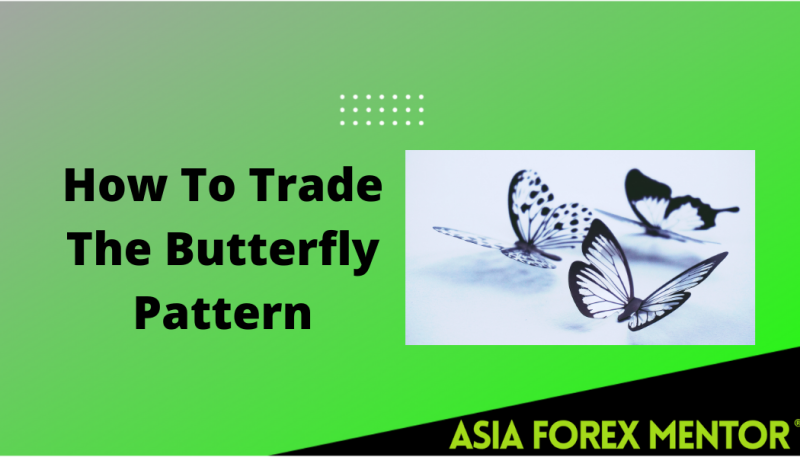 Butterfly Pattern