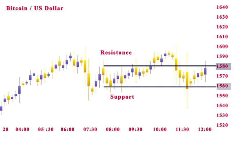 Market Dynamics