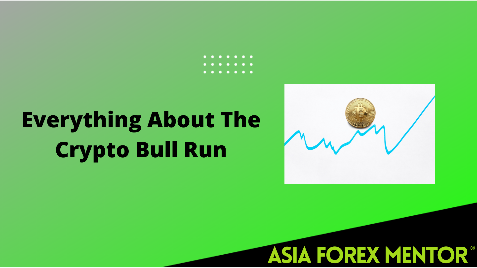 Everything About The Crypto Bull Run