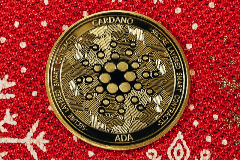 cardano 2