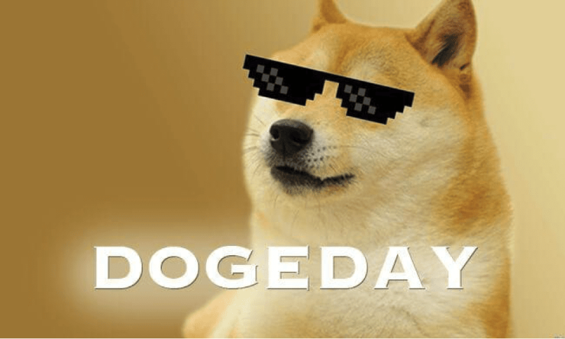 dogeday2