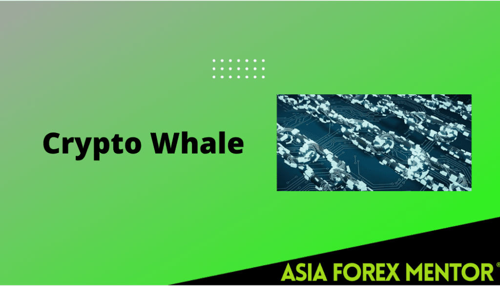 crypto whale