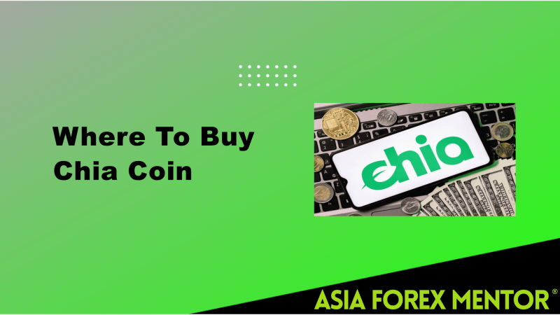 Chia Coin