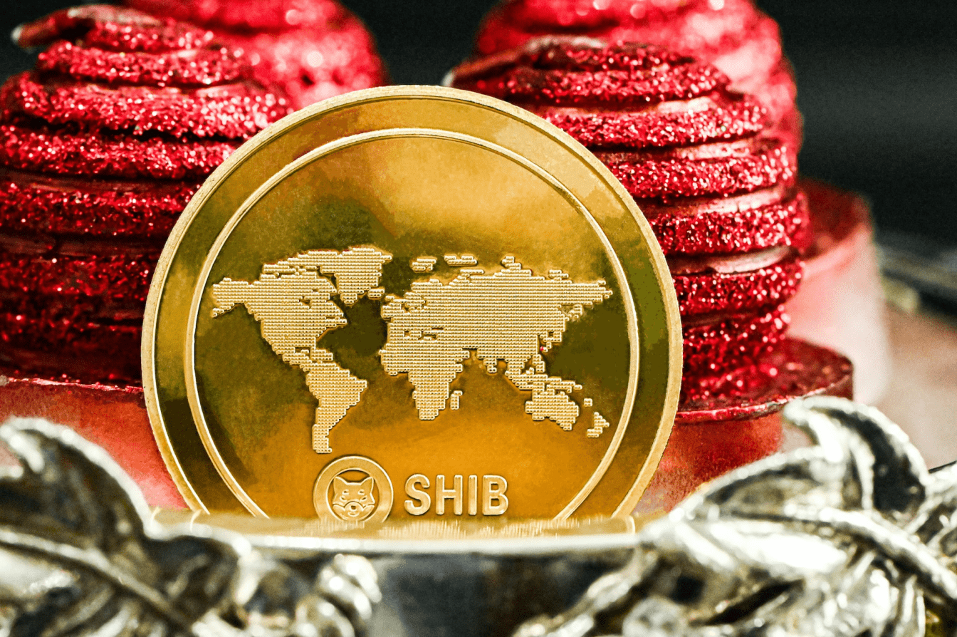 Why Is Shiba Inu Coin Down? Is Shiba Inu dead?•Asia Forex Mentor