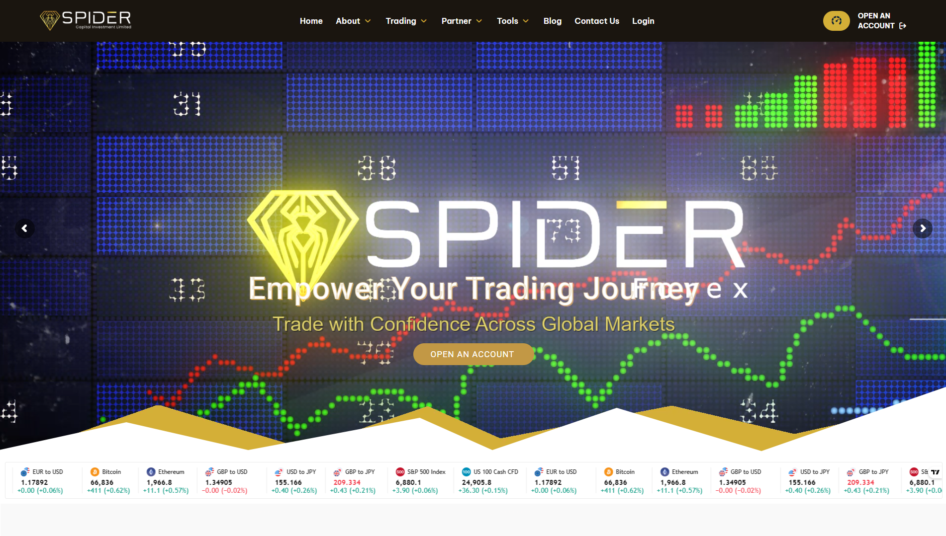 Spider Forex