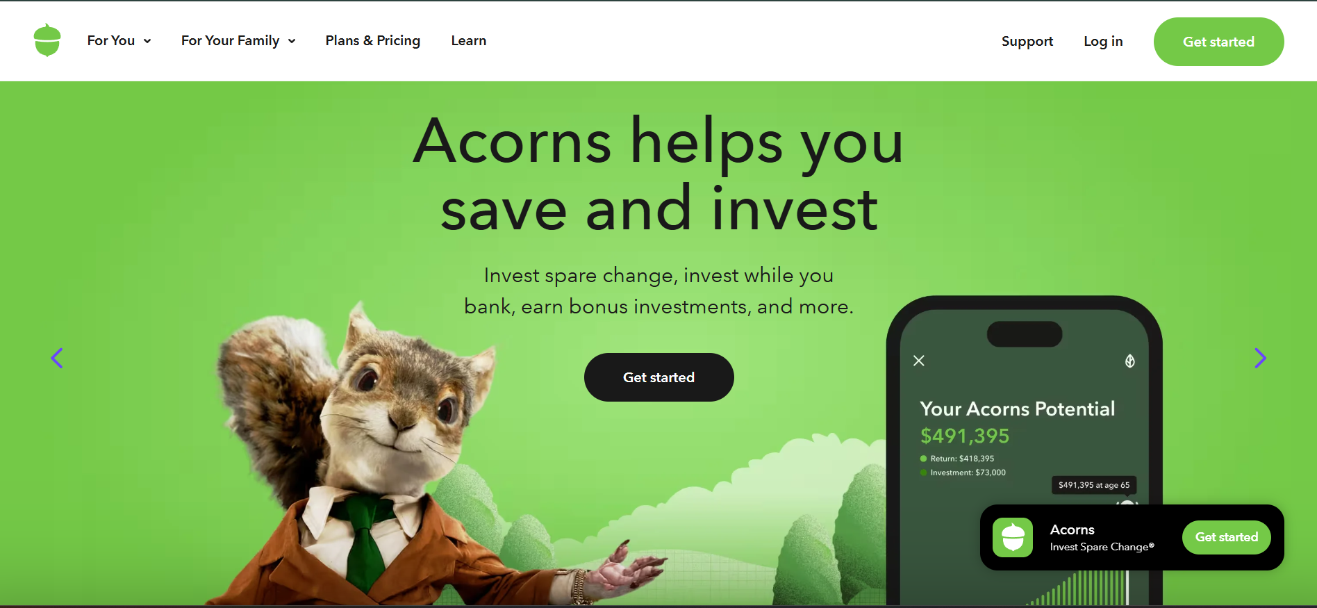 Acorns