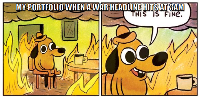 This is fine meme, my portfolio when a war headline hits at 3am