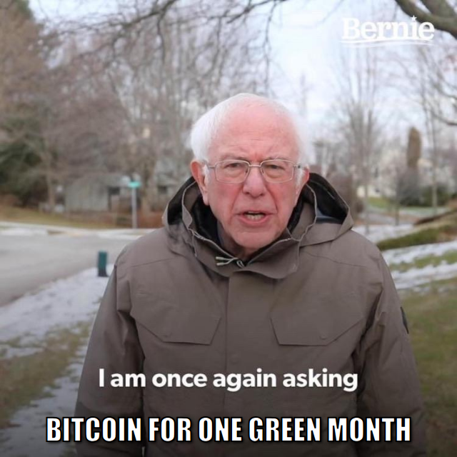 Bernie meme, I am once again asking Bitcoin for one green month
