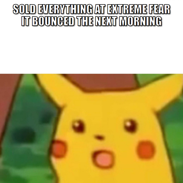 Surprised Pikachu meme, sold everything at extreme fear and it bounced the next morning