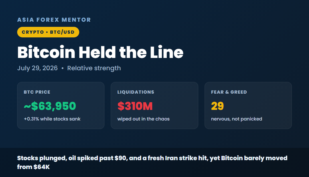 Bitcoin held the line, BTC around 63,950 up 0.31 percent, 310 million liquidations, Fear and Greed 29