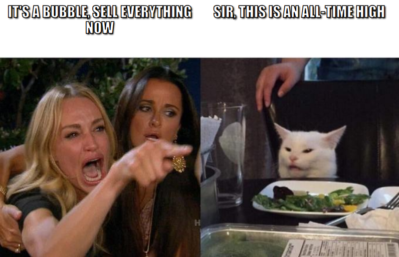 Woman yelling at cat meme, it's a bubble sell everything versus sir this is an all-time high