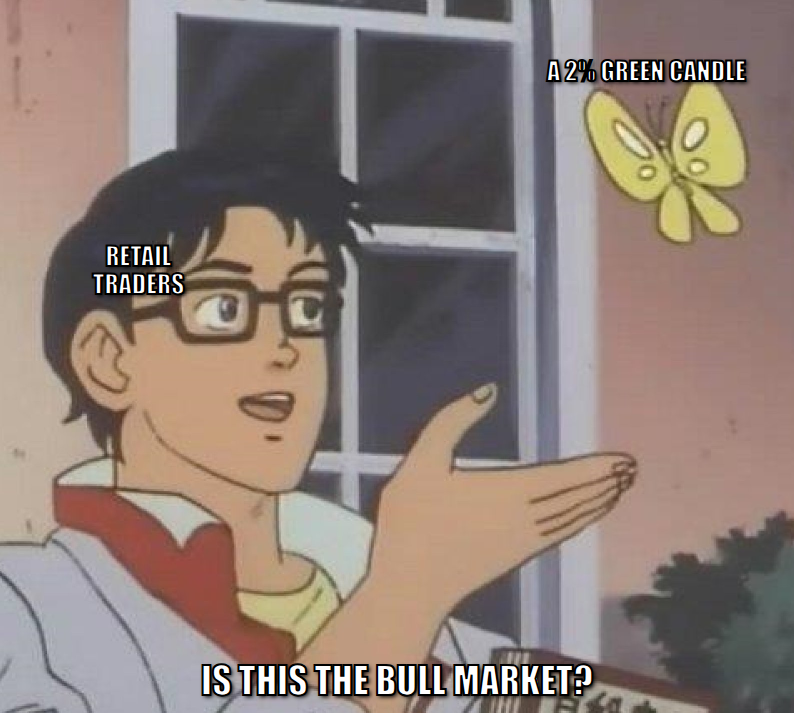 Is this a pigeon meme, retail traders looking at a 2 percent green candle asking is this the bull market