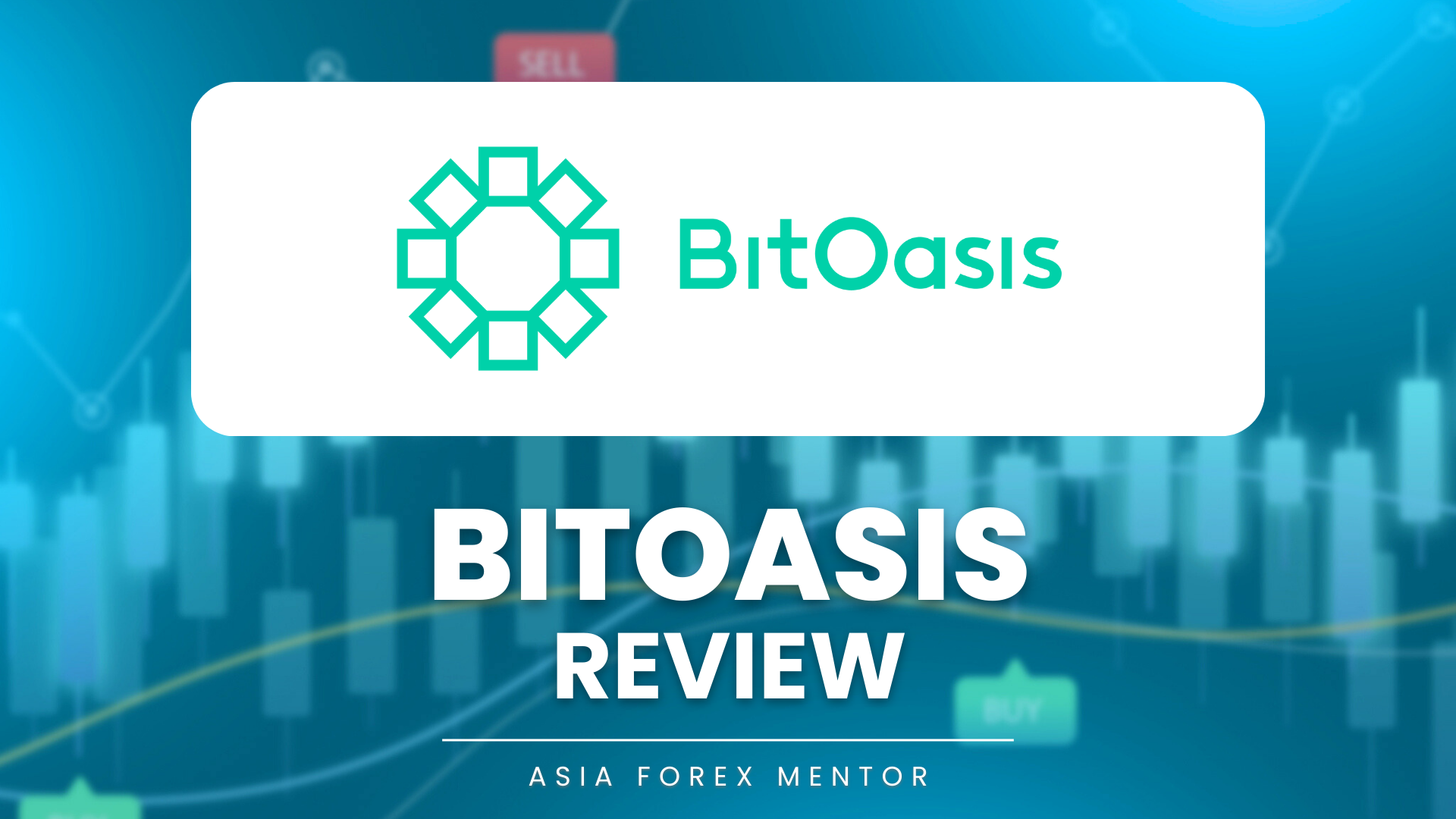 BitOasis review