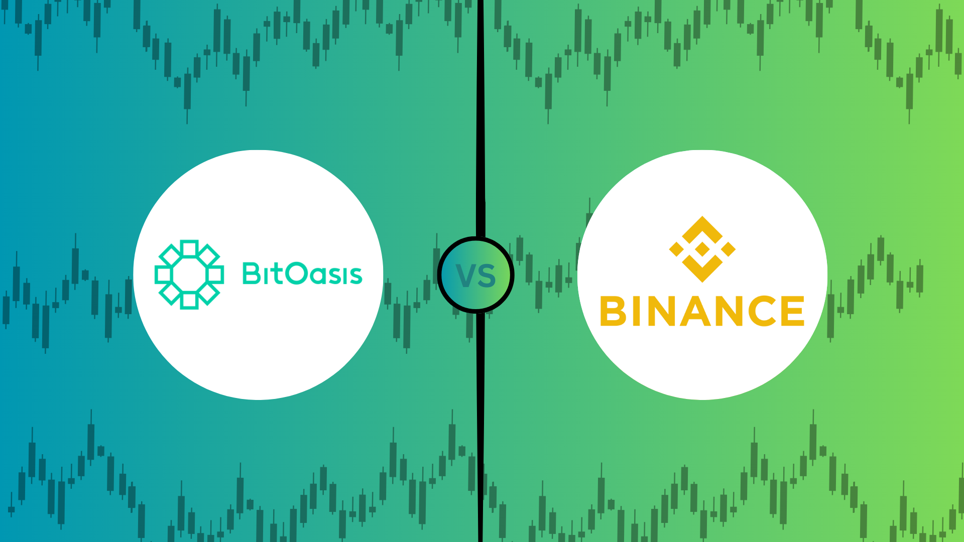BitOasis review