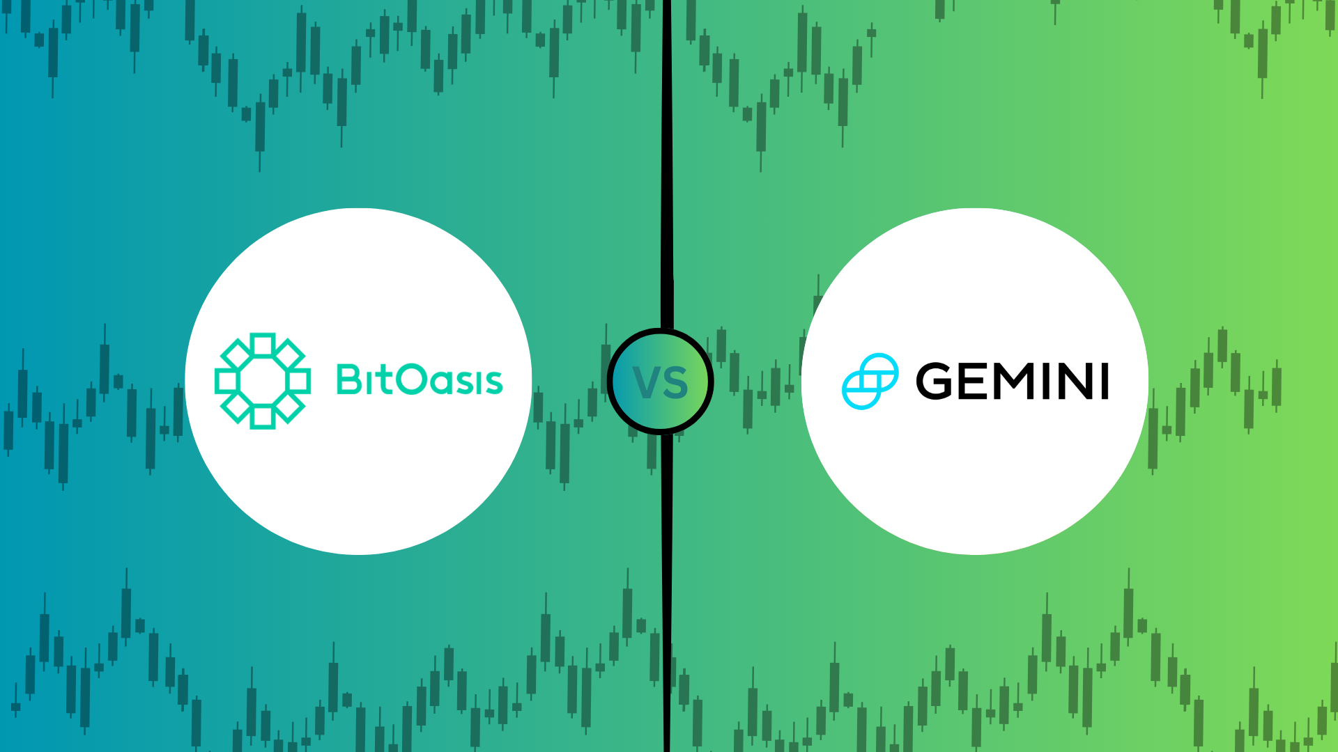 BitOasis review
