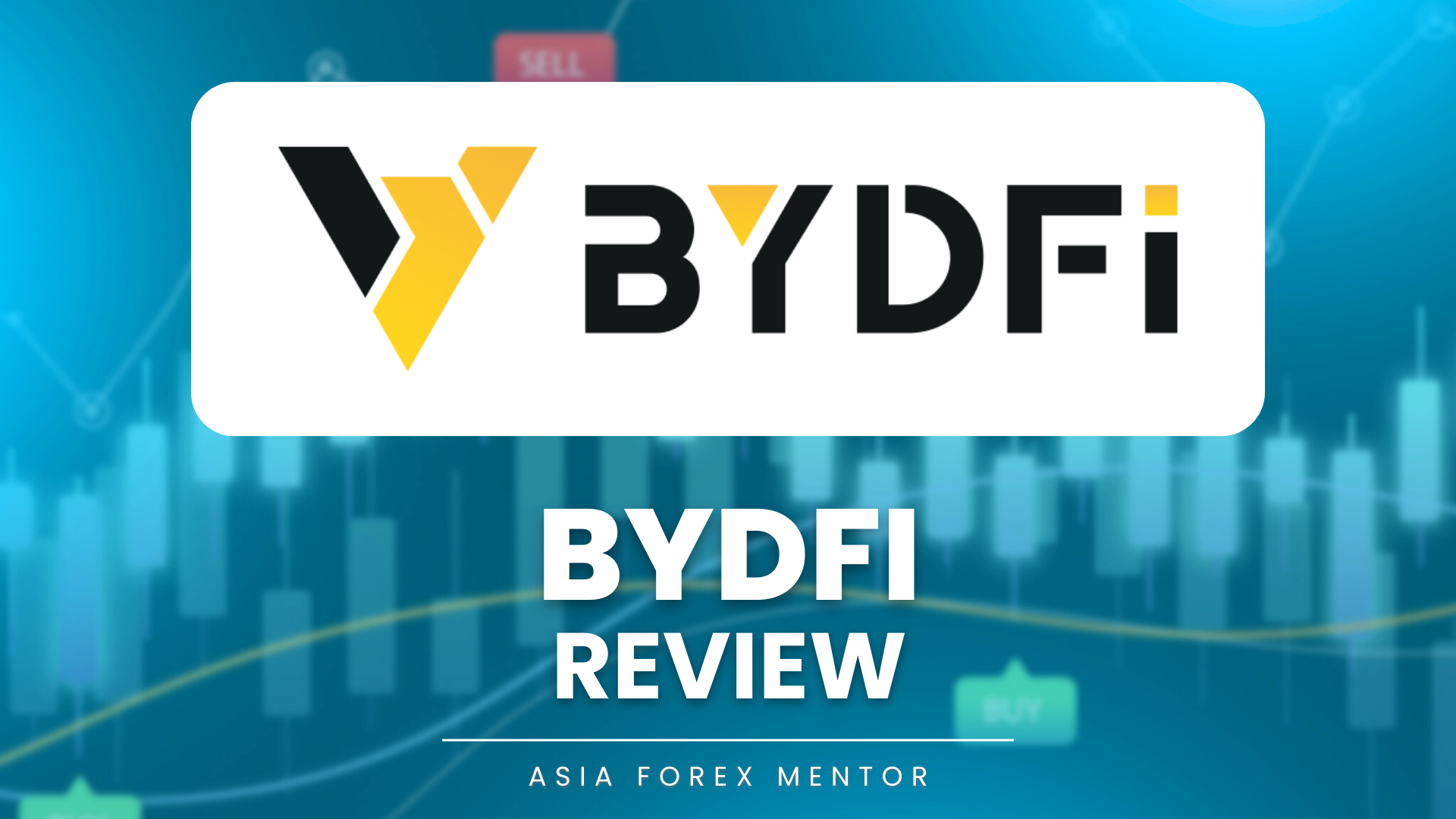 BYDFi review