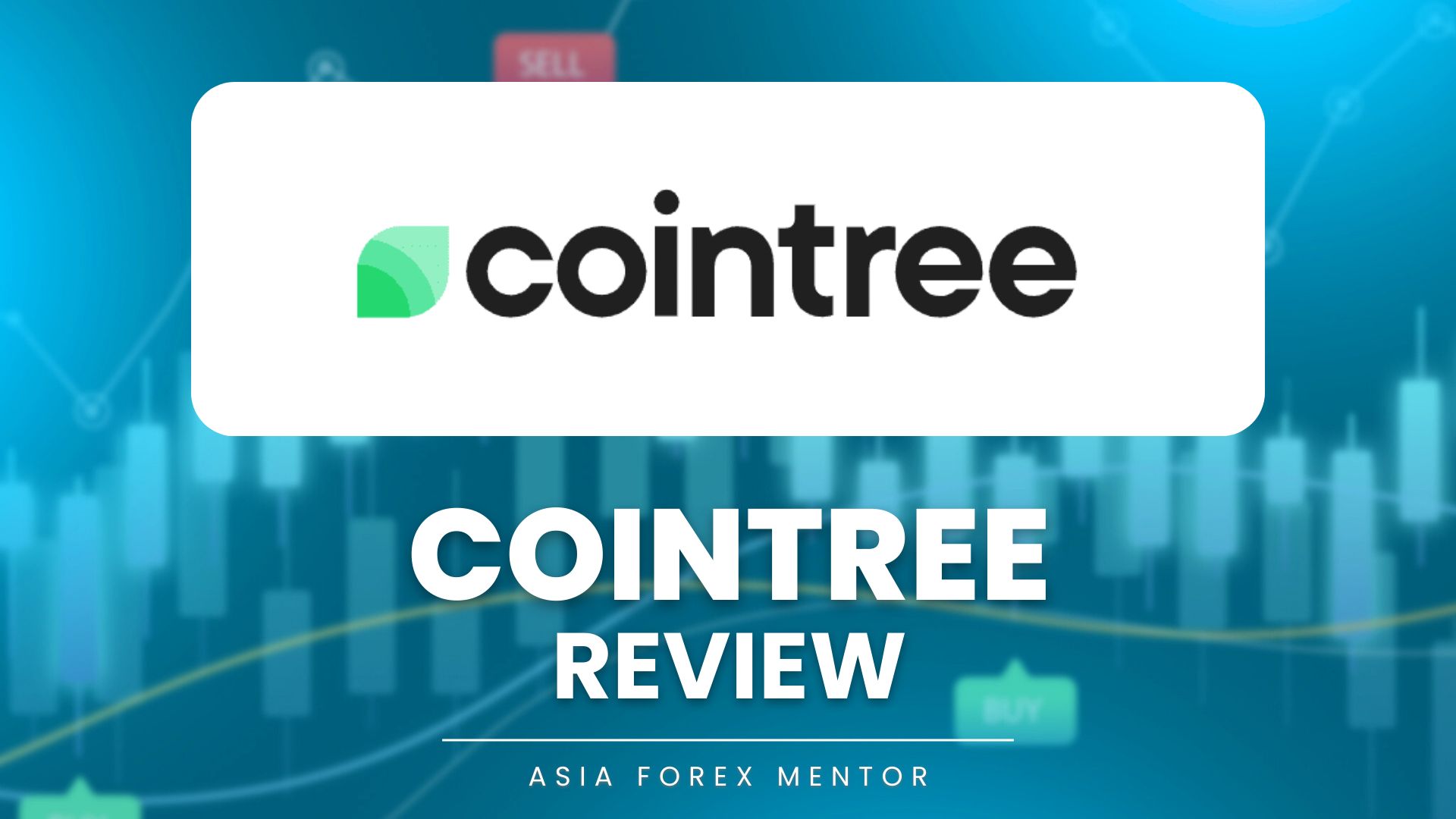 Cointree review