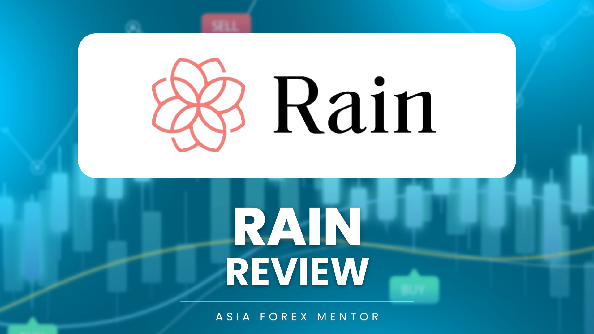 Rain review
