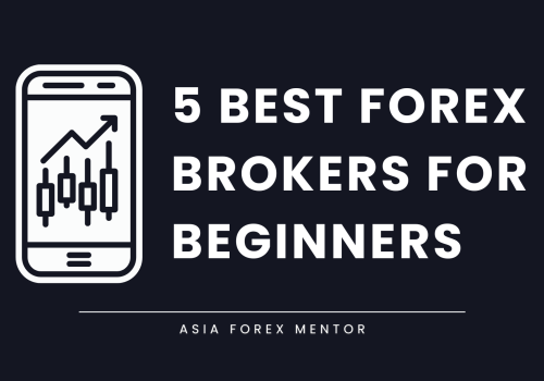 The 5 Best Forex Brokers for Beginners in 2025: Your Guide to Getting Started