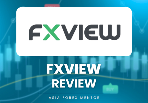 FXView Review 2025 – REAL Traders Report