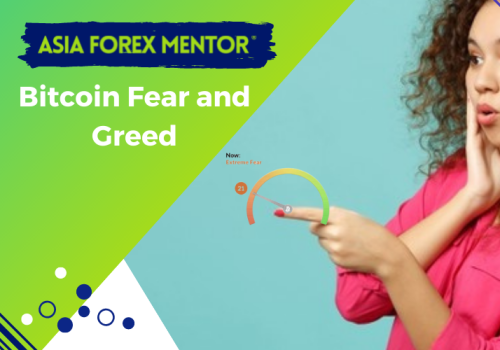 How do you use Bitcoin Fear and Greed Index