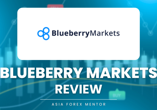 Blueberry Markets Review 2025 – REAL Traders Report
