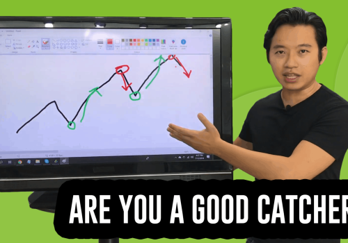Forex Trading Strategy – Catch the Highs and Lows (REALLY?)