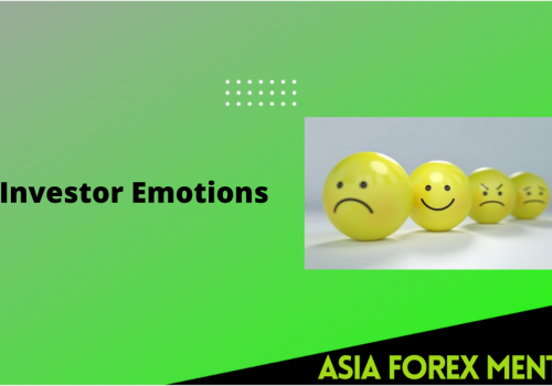 Investor Emotions And How It Affects The Stock Market