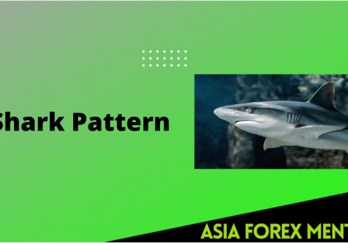 What is the Shark Pattern?