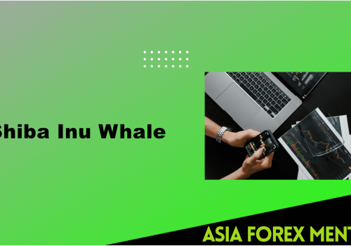 Is Shiba Inu Whale The Future Of Cryptocurrency?