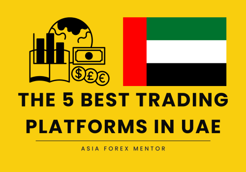 The 5 Best Trading Platforms in UAE in 2025: Things to Remember