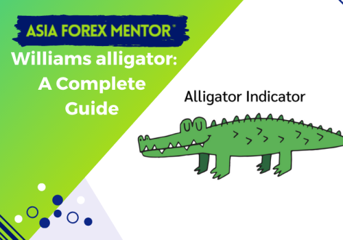 Complete Guide To The Williams Alligator Indicator