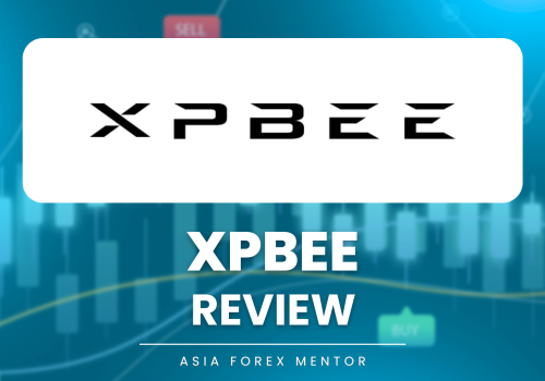 XPBEE Review – Latest 2025 Review by Traders