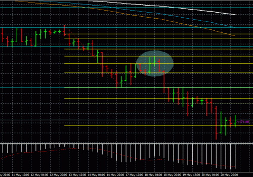Fibonacci with Price Action 21/05