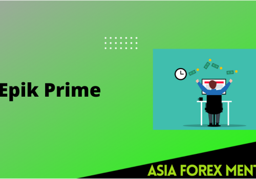 All You Must Know about Epik Prime
