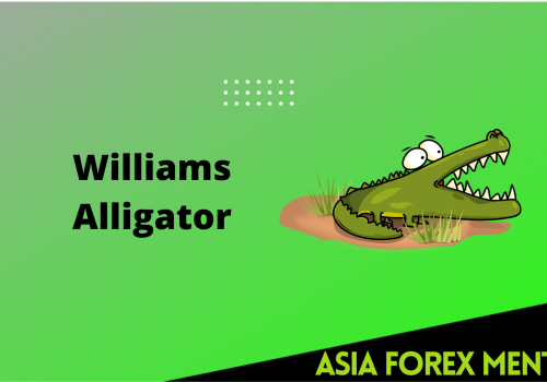 Williams Alligator – A Complete Guide